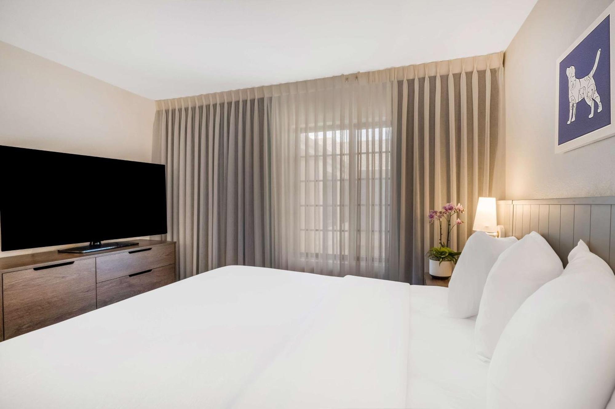 Sonesta Es Suites Denver South Park Meadows Lone Tree Esterno foto